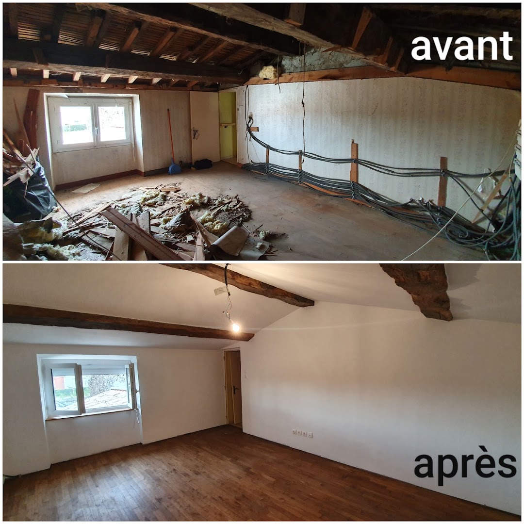 Hestia bati (Plaquiste- plâtrier- jointeur) — Photos 1